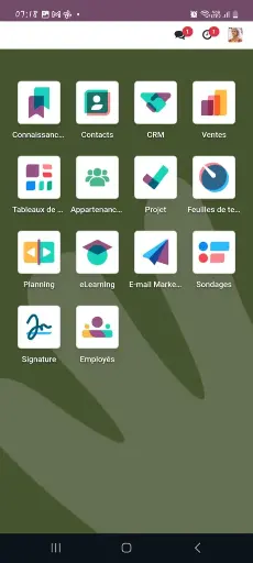 Installer Odoo sur Smartphone